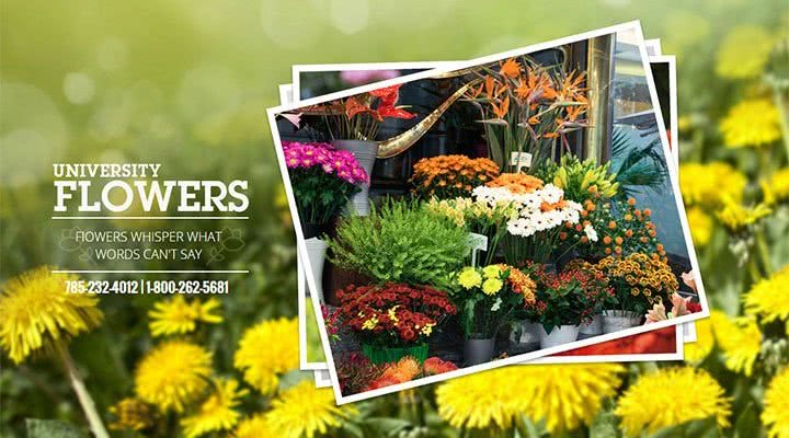 Amazing Top 10 Websites for Event Florists to Get Inspired