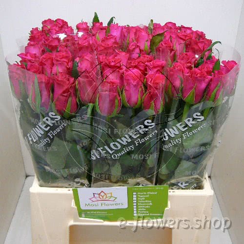 Buy wholesale fresh cut pink roses; Attitude