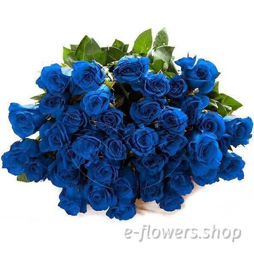 Buy wholesale fresh cut blue roses; dyed or tinted roses.