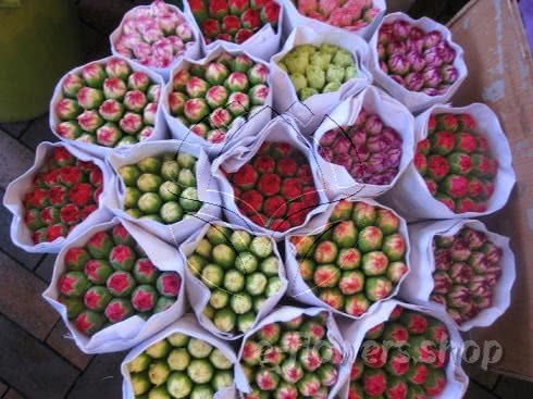 Buy wholesale fresh cut mixed colour bouquets; Carnation bouquets