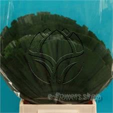 Buy wholesale fresh cut green foliage; Chamaerops Large