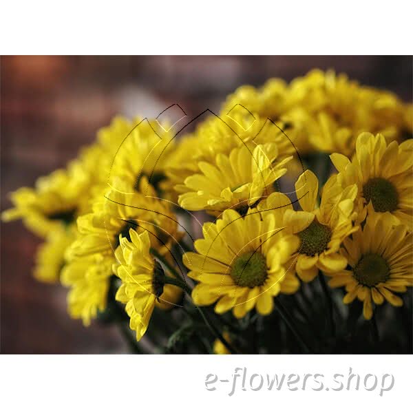 Buy wholesale fresh cut yellow chrysanthemum; Clue