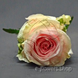 Buy wholesale fresh cut bi-colour roses; Duchess