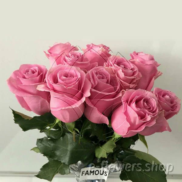 Buy wholesale fresh cut pink roses; Famous