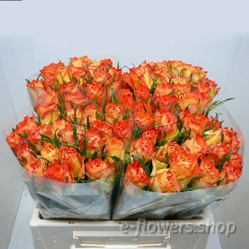 supermarket range roses.