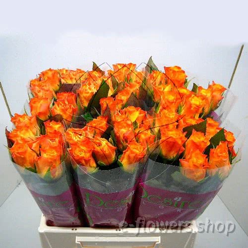 supermarket range roses.