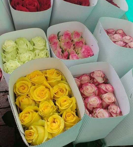 Buy wholesale fresh cut Box of mix colors; Mix Box