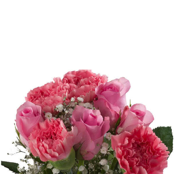 Buy wholesale fresh cut mixed colour bouquets; Mixed Bouquet of Carnation and Gypsophila