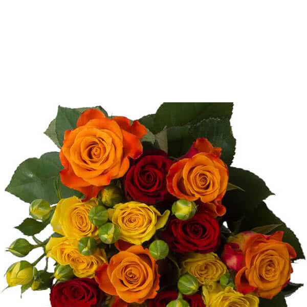 Buy wholesale fresh cut mixed colour bouquets; Mixed Bouquet of Roses and spray roses