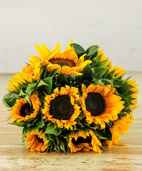 Buy wholesale fresh cut mixed colour bouquets; Mixed Bouquet of sunflower and ruscus