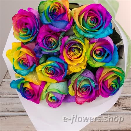 Buy wholesale fresh cut multi-colour roses; Rainbow