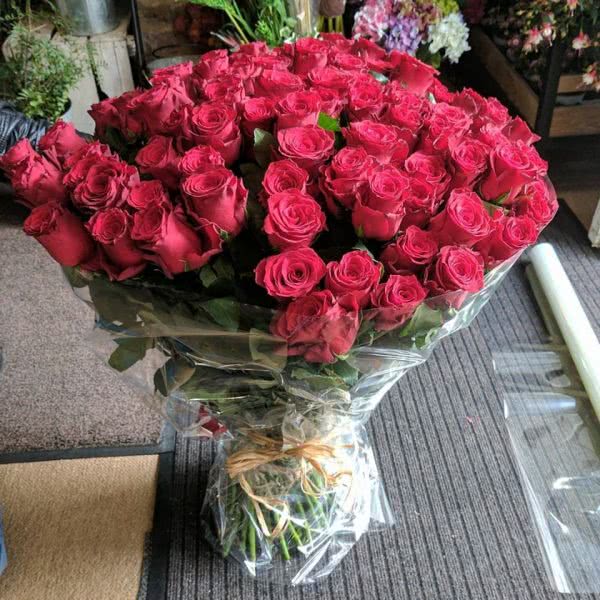 premium roses