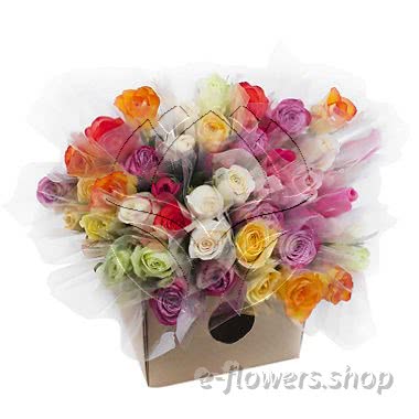 Buy wholesale fresh cut assorted colour bouquets; Single Roses - Assorted colours