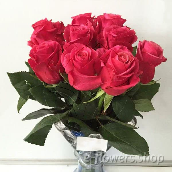 Buy wholesale fres cut pink roses: Taccazi