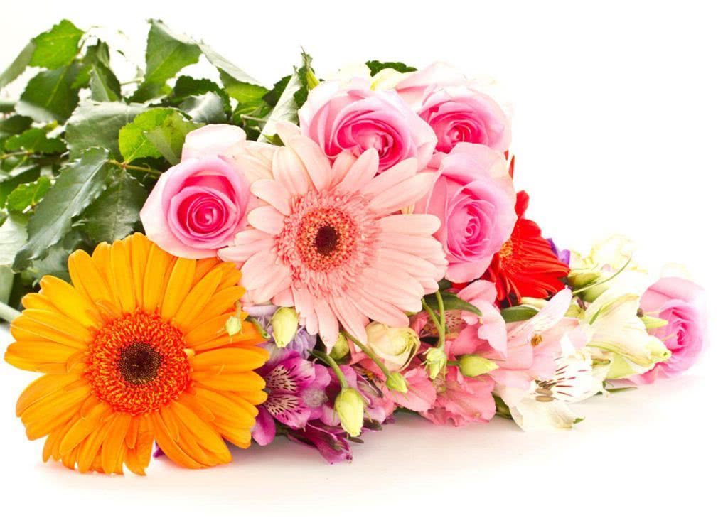 The Top 7 Most Inexpensive Totally Beautiful Flowers