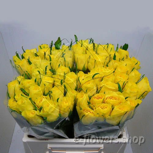 Buy wholesale fres cut yellow roses: Topsun