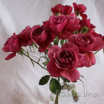 Buy wholesale fresh cut pink perfumed roses; Wabara Aoi garden rose
