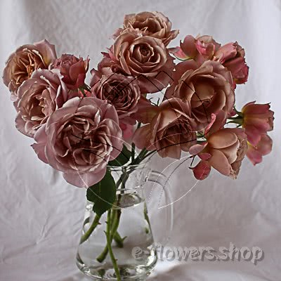 Buy wholesale fresh cut pink perfumed roses; Wabara Ioli garden rose