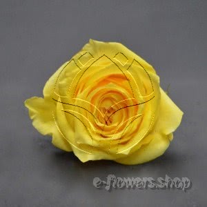 Buy wholesale fresh cut yellow roses; what else