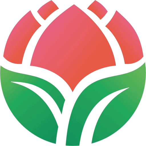 Supermarket Range Spray Roses